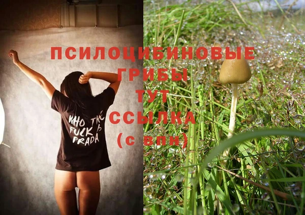 героин Михайлов