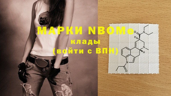 шишки Михайловск