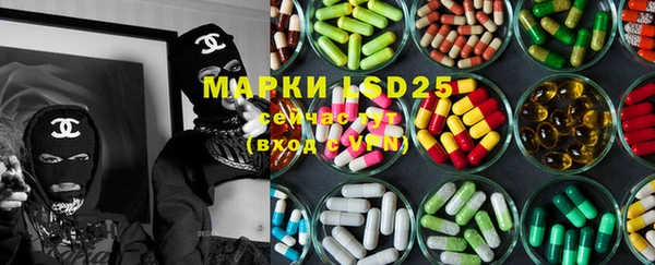 шишки Михайловск