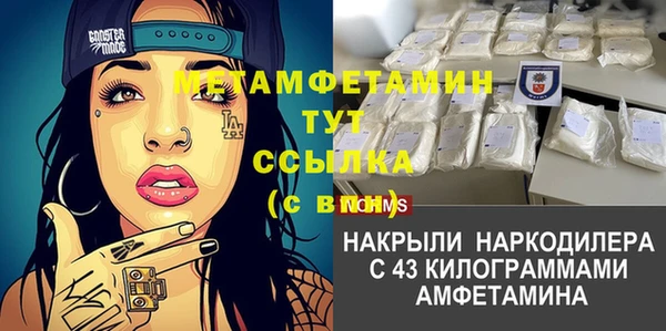 шишки Михайловск