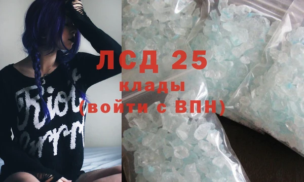 шишки Михайловск